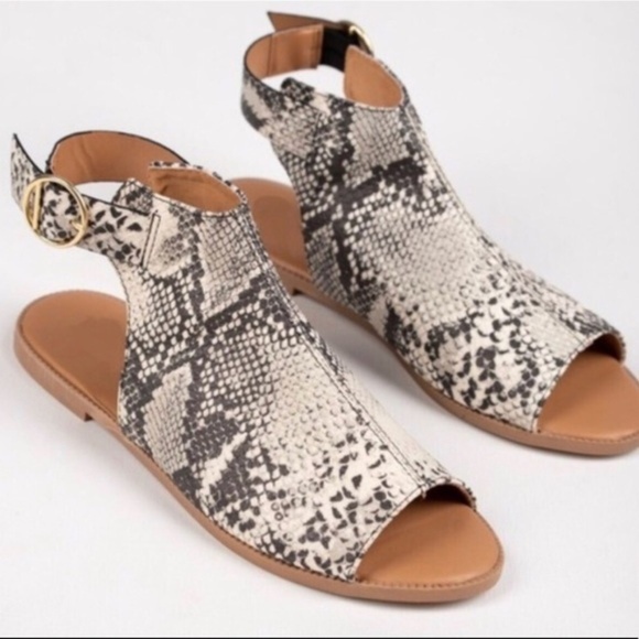Shoes - Snakeskin Sandal Shoes - Snakeskin Sandal